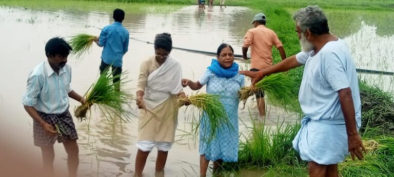 WhatsApp-Image-2023-08-01-at-16.14.31-768×346